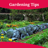 com.tstapps.gardening.tips