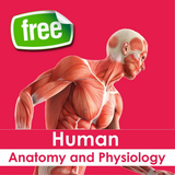 com.afra.humananatomy