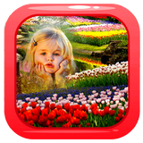 com.royaadev14.ghabeaxmanzare