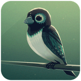 green.boostan
