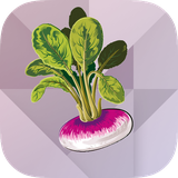 com.kazem93.shalgham