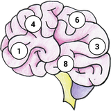 com.azodus.brainmemex