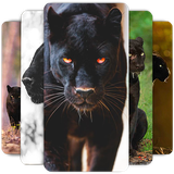 com.pantherwallpaper.animalwallpaper.blackjaguar.hdbackgrounds.offlinewallpaper