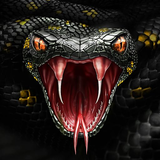 com.andromo.dev678369.app871381