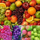 com.moddu.naga.raju.fruits.hdwallpaper