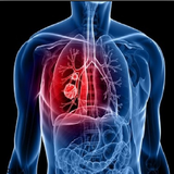 com.bimariha.riaviiisseeks