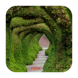 ir.appwork.livewallTabiatane