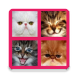 corp.seedling.game2048.cute.cats