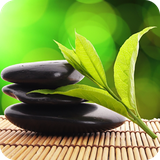 buy.setareh.sangdarmani