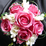 ir.asystem.amozshgolsazivagolaraeesadevapishraftefree