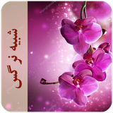 com.imnet.shabihenarges