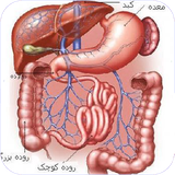 shik.sanghayedastgahegovaresh