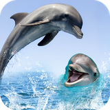 com.sb.dolphin.fish.livewallpaper.mobiletheme