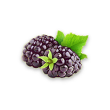 com.ak.driver_accounting