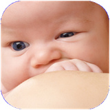 kalale.teknikhayebachedary