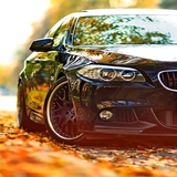 asr.app.car1