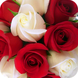 com.rosewallpaper.wallpaper.hdwallpaper