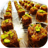 shafagh.shirinihayirani