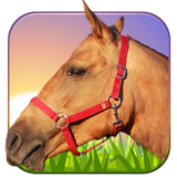 com.pooandplay.ridehorse3D