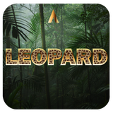 co.madseven.launcher.theme.leopard