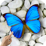 com.sapps.magictouchbutterflies
