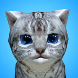 com.vARDAmirsGameStudio.CutePocketCat3D