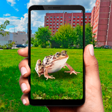 com.ox_pocket_games.pocket_reptile