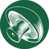 ir.gharchdokmei.sabzshop