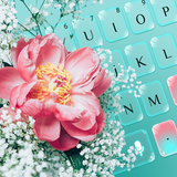 keyboard.theme.k820018487