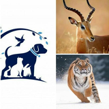 com.kumar.lenovo.worldanimals_information