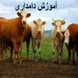 ir.bafrin.damdari
