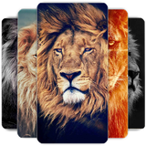 com.lionwallpaper.hdbackgrounds.offlinewallpaper.lions.wallpapers.animals.lioness
