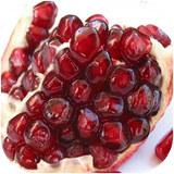 ghotbi.khavasemivevasabzijat