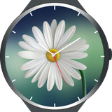 com.kjsk.watchface.flowers.anim