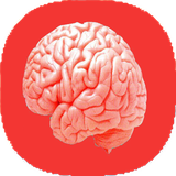 com.mnz_ht.anatomemagzvaasab