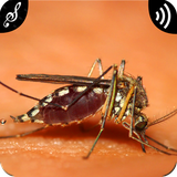 com.appsbrand.mosquitosounds