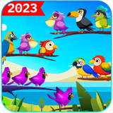 rvqx.puzzlesbirds.sortbirdcolor.sopubi.com