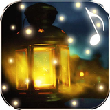 fireflies.fireflies.com