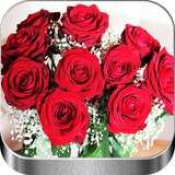 com.floresyrosas.bonitas