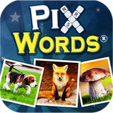 com.dekovir.pixwords