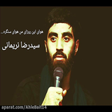 ir.alagal.narimani