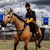 com.PlayitFreeGames.OsmanGazi.HorseSimulation