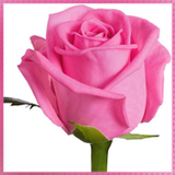 com.khalabro.paper.amin.apk08