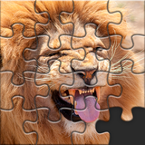 com.photoeditor.games.puzzle.animals