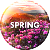 com.david_wallpapers.spring