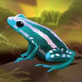com.nimblebit.pocketfrogs