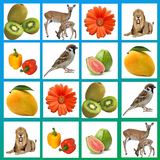 com.LeelaApps.PictureMatch