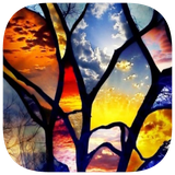 com.nebo.crosswords3