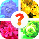 appinventor.ai_mansukhibang1.Flower_App