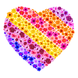 com.nexttechgamesstudio.drawbyflowers